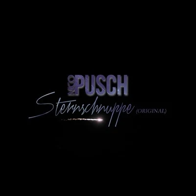 Nico Pusch Sternschnuppe