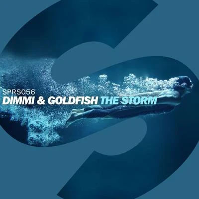 Dimmi The Storm