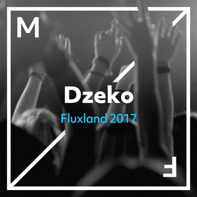 Dzeko Fluxland 2017