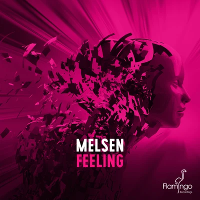 Melsen Feeling (Extended Mix)