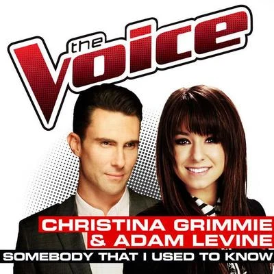 Christina Grimmie Somebody That I Used To Know (The Voice Performance)