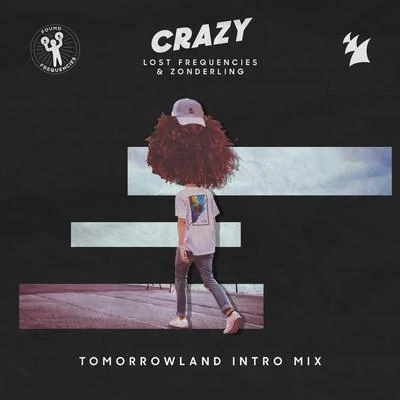 Lost Frequencies/Zonderling Crazy (Tomorrowland Intro Mix)