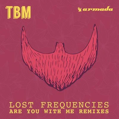 Lost Frequencies Are You With Me (Remixes)