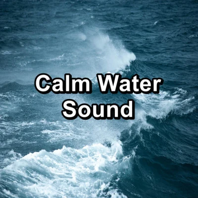 Sounds Of The Ocean/Ocean Beats/Sleeping Ocean Waves Calm Water Sound