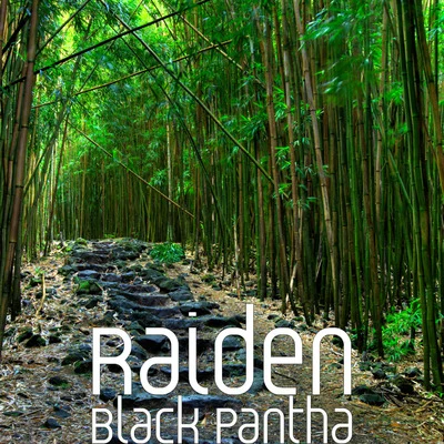 Raiden Black Pantha