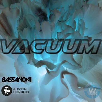 Bassanova Vacuum