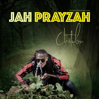 Jah Prayzah Chitubu