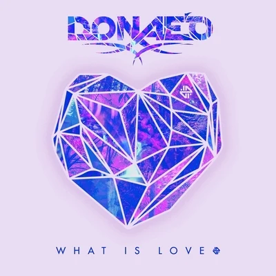 Donae&#x27;o What Is Love (Remixes)