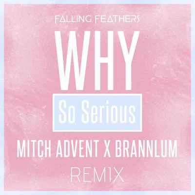 Falling Feathers Why So Serious (Mitch Advent & Brannlum Remix)