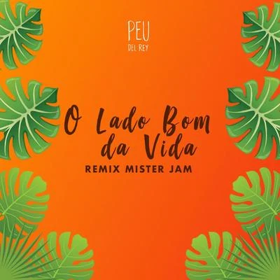 Peu O Lado Bom da Vida (Remix Mister Jam)