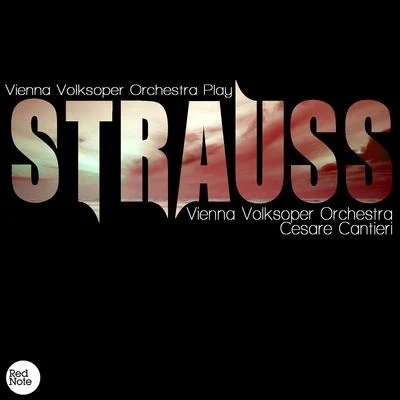 Vienna Volksoper Orchestra Strauss: Vienna Volksoper Orchestra Play