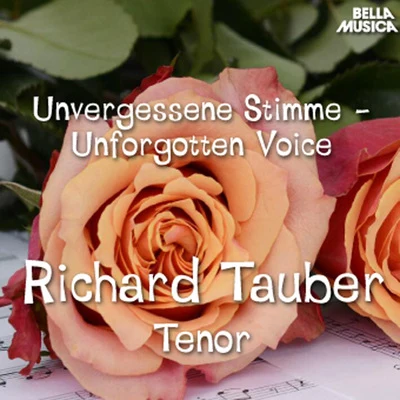 Richard Tauber Unvergessene Stimme - Richard Tauber, Tenor