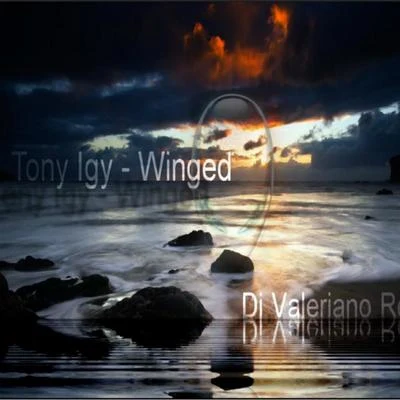 Tony Igy Winged (Dj Valeriano Remix)