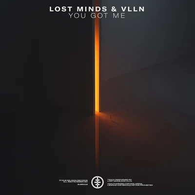 VLLN/Lost Minds You Got Me