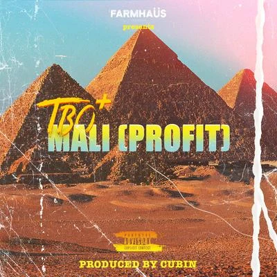 TBO Mali (Profit)