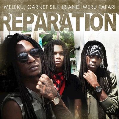 Garnet Silk Jr Reparation