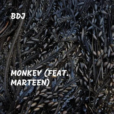 Marteen/B.D.J. Monkey (feat. Marteen)