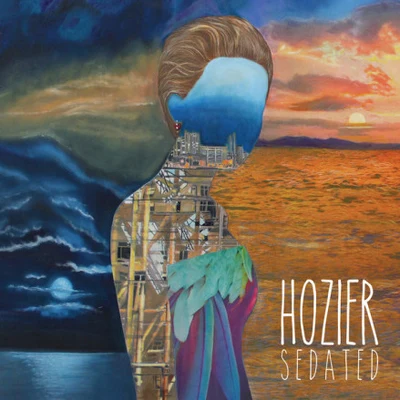 Hozier Sedated