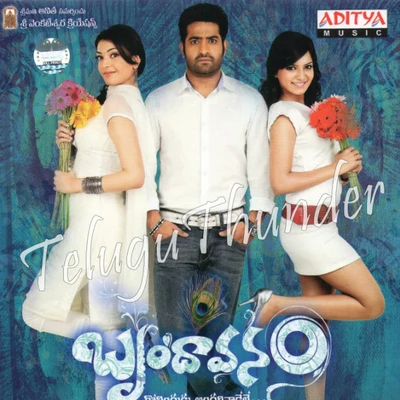 Thaman S Brindavanam