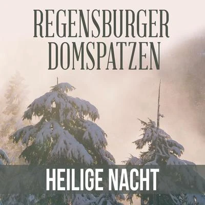 Regensburger Domspatzen Heilige Nacht