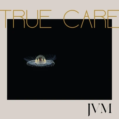 James Vincent McMorrow True Care