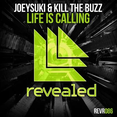 JoeySuki/Kill The Buzz Life Is Calling