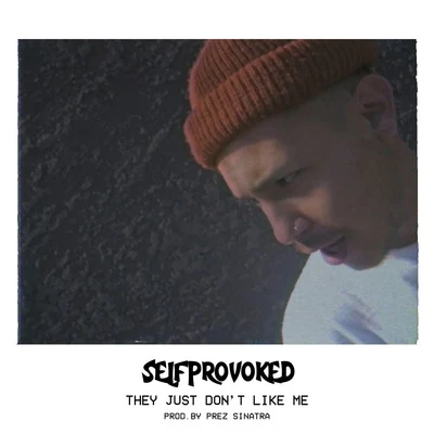 Self Provoked They Just Dont Like Me