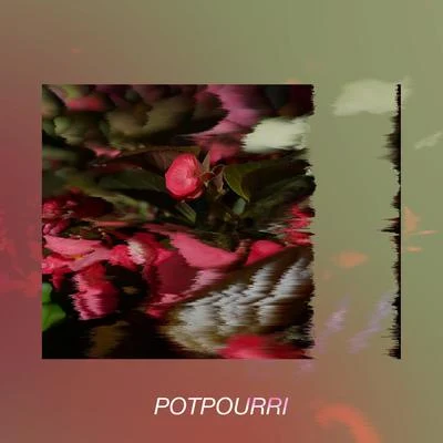 QARI Potpourri