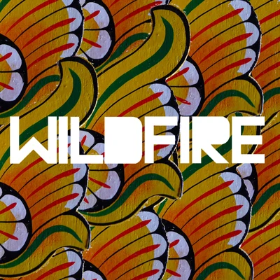 SBTRKT Wildfire