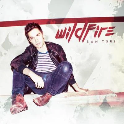 Sam Tsui Wildfire