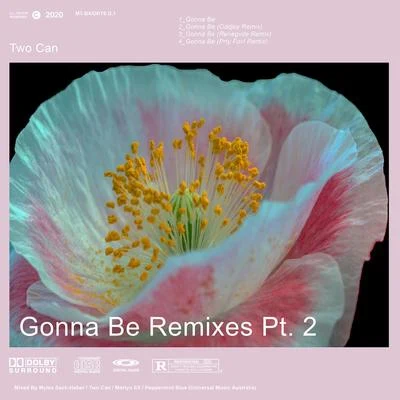 Two Can Gonna Be Remixes, Pt. 2