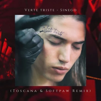 Sinego Verte Triste (Toscana & Softpaw Remix)