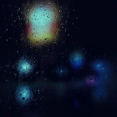 Rain Sounds/Rain Sound Studio/The Rain Library Night Rain for Sleep