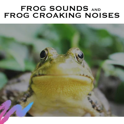 Ambient Forest/White Noise Radiance/Frog Sounds Frog Sounds and Frog Croaking Noises