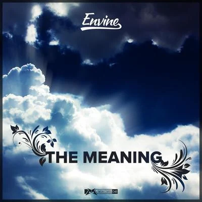 Envine The Meaning