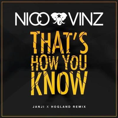 Janji Thats How You Know (JanjiHogland Remix)