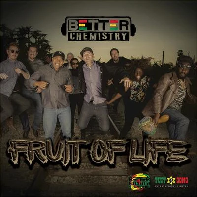 Better Chemistry Fruit of Life