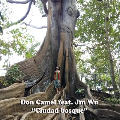 Don Camel/Jin Wu Ciudad Bosque