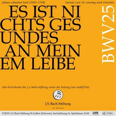 Chor der J.S. Bach-Stiftung Bachkantate, BWV 25 - Es ist nichts Gesundes an meinem Leibe