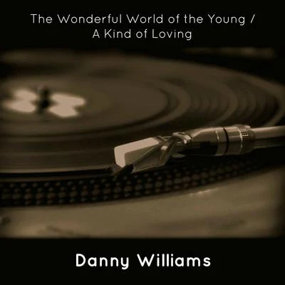 Danny Williams The Wonderful World of the YoungA Kind of Loving