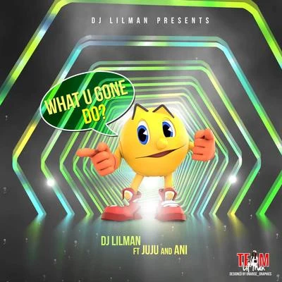 Dj Lilman What You Gone Do (feat. juju & ani)