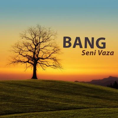 Bang Seni Vaza