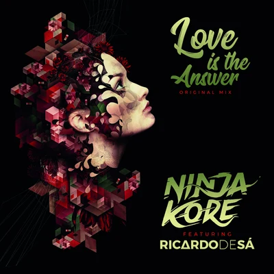 Ninja Kore Love Is The Answer