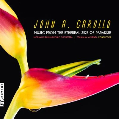 Lisa Cella/Matt Gould/Beth Schneider/Stanislav Vavřínek/Moravian Philharmonic Orchestra/composers choir John A. Carollo: Music from the Ethereal Side of Paradise