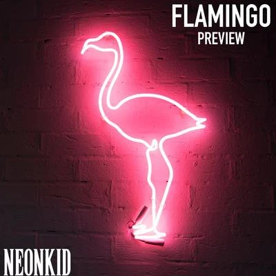 NEON KID Flamingo Preview