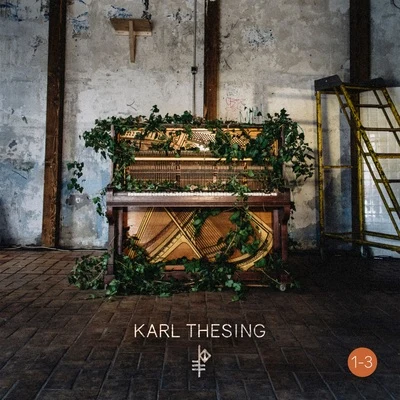 Karl Thesing Torn