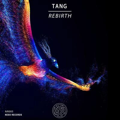 TANG唐 REBIRTH