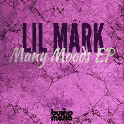 Lil Mark Many Moods EP Vol 1