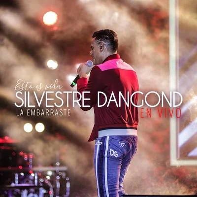 Silvestre Dangond La Embarraste (En Vivo)