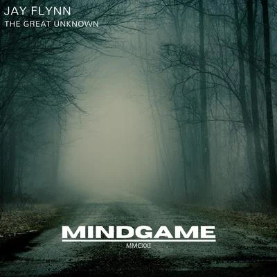 Jay Flynn The Great Unknown (Radio Edit)